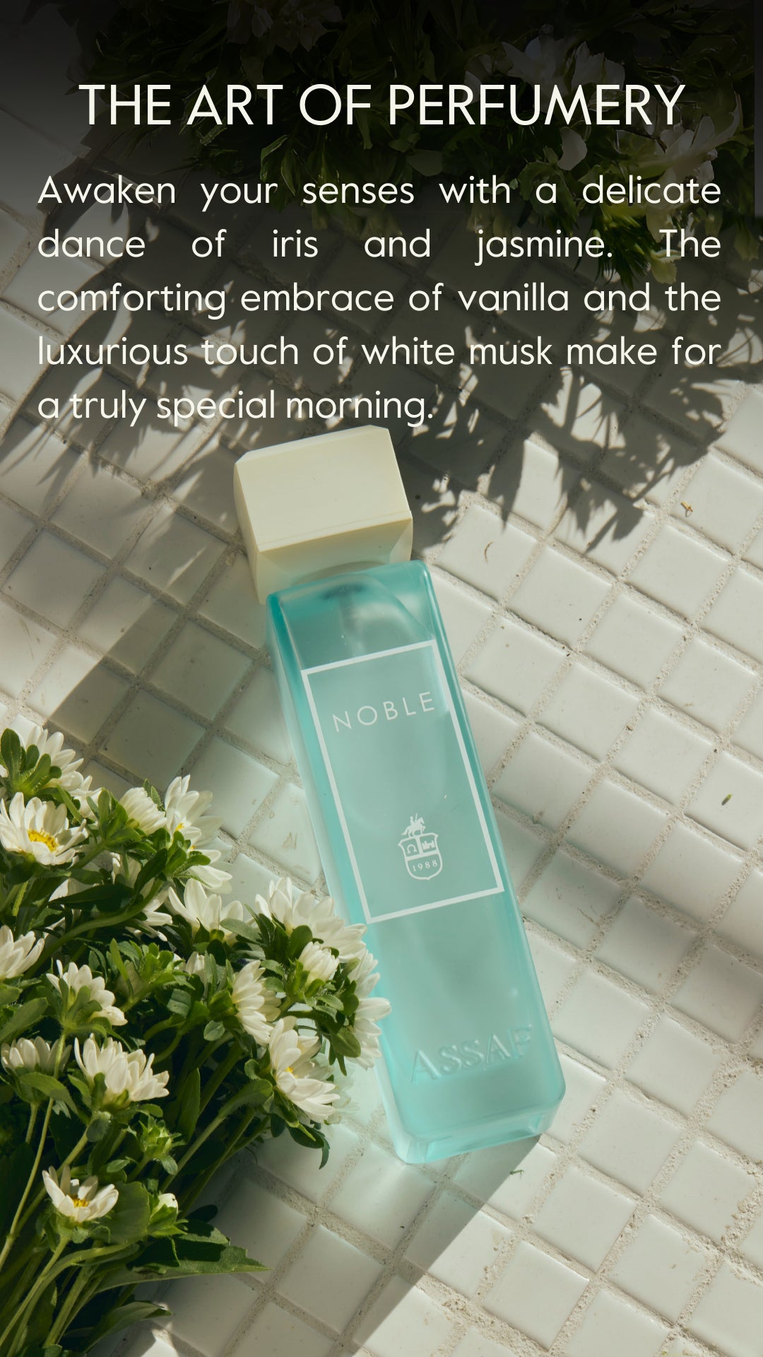 Noble 200 Ml by Assaf