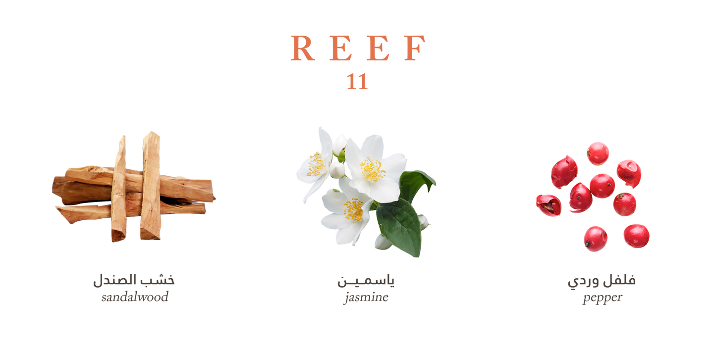 11 – Deep Sandalwood Sophistication 100 ML by Reef