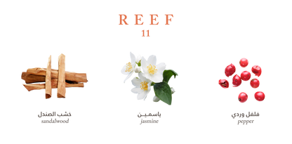 11 – Deep Sandalwood Sophistication 100 ML by Reef